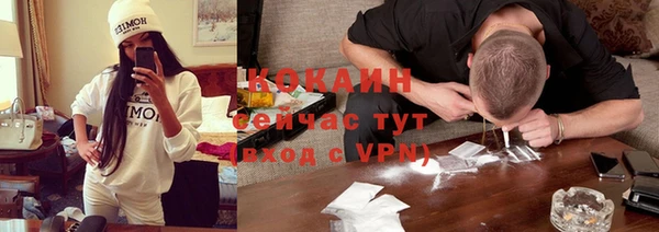 амф Алексин