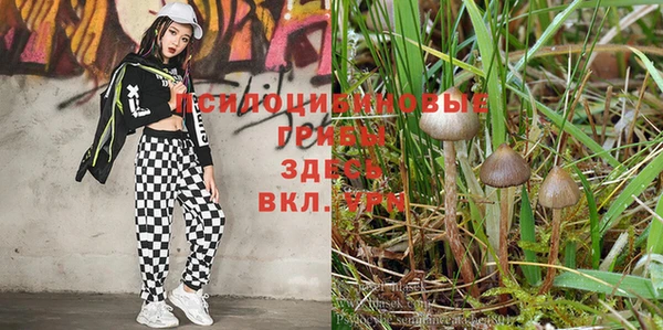 спайс Алексеевка