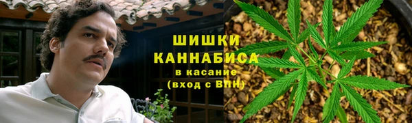 амф Алексин